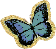 butterfly turquoise gold