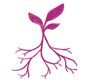 icon root of your problems